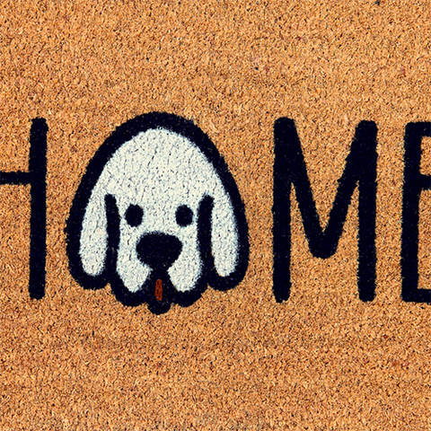 Doormat Home's Dog - 70 x 40 cm