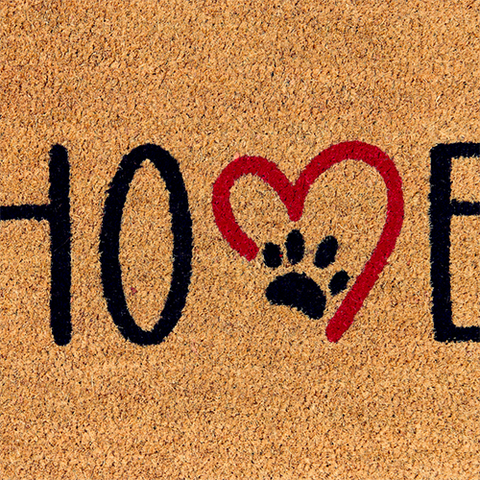 Doormat Dog Footprints - 70 x 40 cm